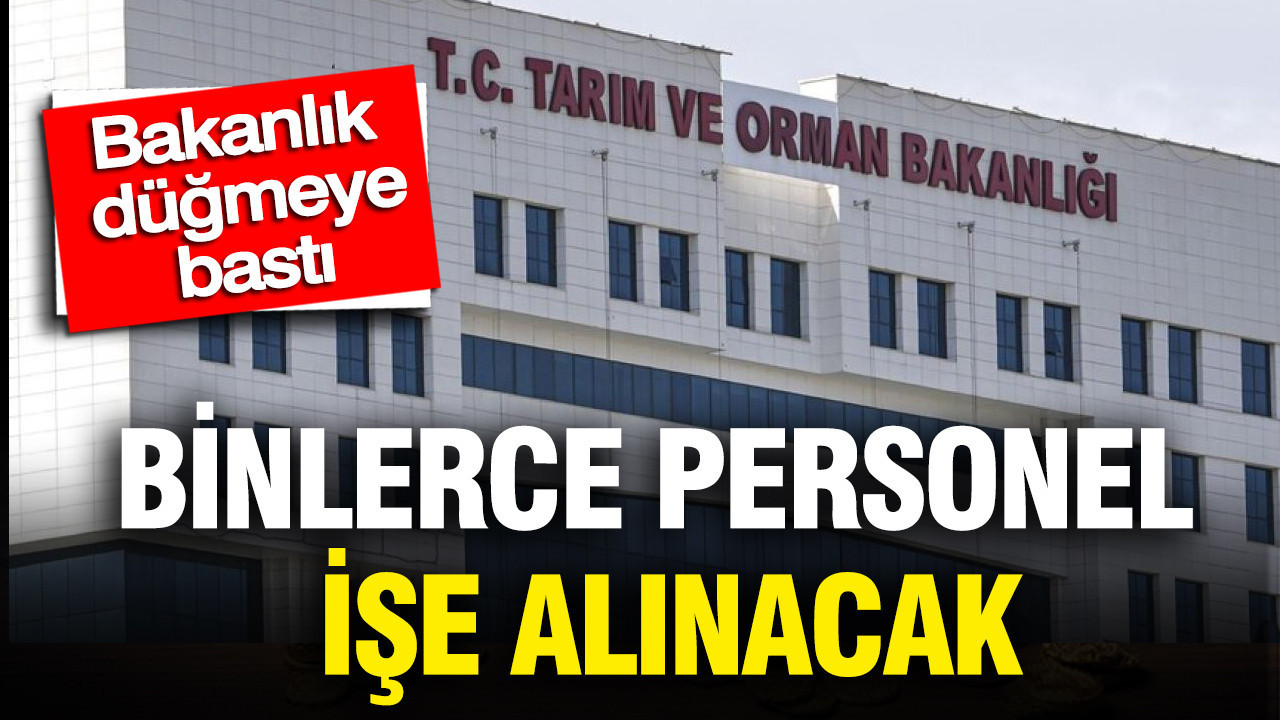 Bakanlik dugmeye basti binlerce personel ise alinacak CsCKyqzu